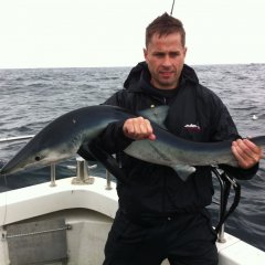 Blue Shark Fishing