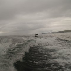 Sligo Boat Trips