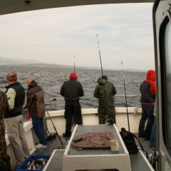 Mullaghmore Fishing Trips