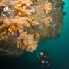 donegal scuba diving