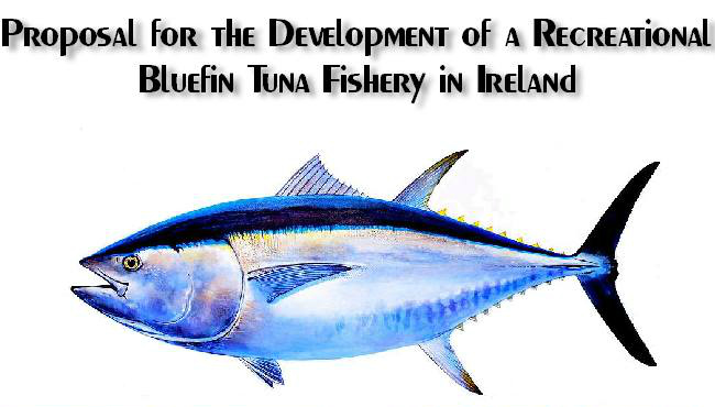 Blue Fin Tuna Proposal