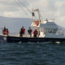 Mullaghmore Sea Fishing