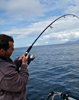 sea fishing mullaghmore