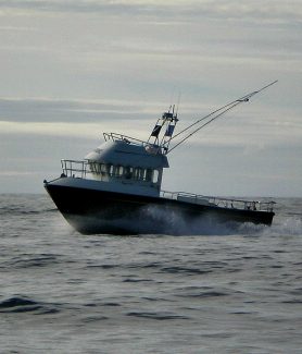 island trips from mullaghmore