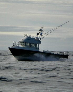 island trips from mullaghmore